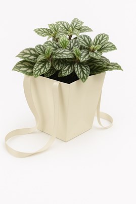 Torba papierowa Prestige kremowa 125x125x180 / 165x165 mm – subtelne i klasyczne opakowanie