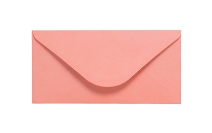 Koperty DL Łososiowe 120g 10 sztuk - Idealne na Zaproszenia - Na Bon