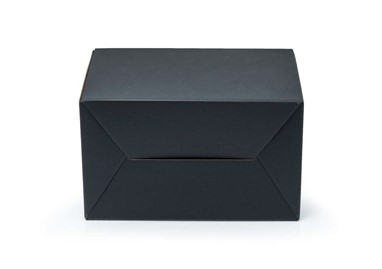 Pudełko z uchwytem F217 300x180x220mm czarne