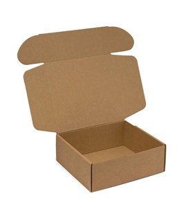 Pudełko karbowane 270x250x100mm Fefco 427