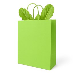 Zielona torebka papierowa 230x120x300 mm z uchwytem skręcanym – lekka i przyjazna naturze