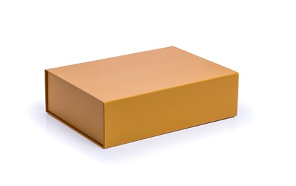 bursztynowe-pudelko-magnetyczne-350x250x100-pantone-7550c.jpg