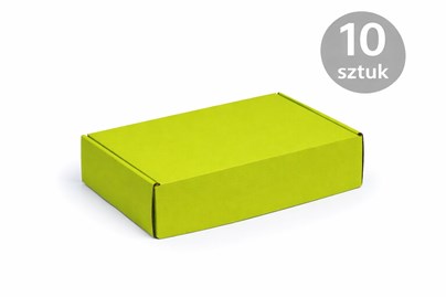 karton_limonkowy_pantone381c_330x250x100_10szt.jpg