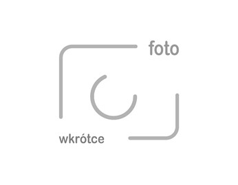 Łyżka drewniana 16cm 100 sztuk