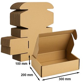 Pakiet - Karton wykr. 300x200x100mm - 10 szt