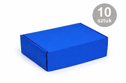 karton-kobaltowy-330x250x100-fefco427-10szt.jpg
