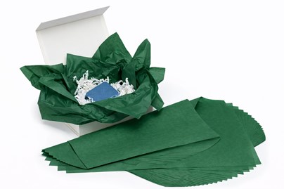 Bibuła gładka zielona leśna 38x50 cm 100 arkuszy