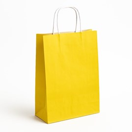 Zestaw 50 żółtych toreb papierowych ECOBAG o wymiarach 305 × 170 × 425 mm, pojemności 23 l, wykonanych z papieru 100 g/m², z dnem klockowym i uchwytam