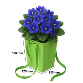 Zielona torba papierowa Prestige 125x125x180 / 165x165 mm – eleganckie i stylowe opakowanie