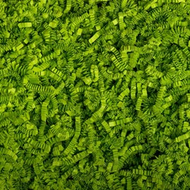 Wypełniacz ZigZagDeluxe neon zielony 1kg