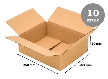 pudelko-kartonowe-250x200x50-klapowe-b320-10szt.jpg