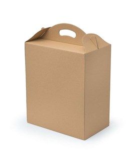 Pudełko fasonowe F217 300x180x350mm EKO Brąz