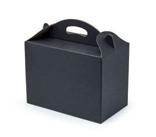 Pudełko z uchwytem F217 300x180x220mm czarne